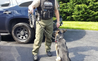 Off-duty police officer with dog