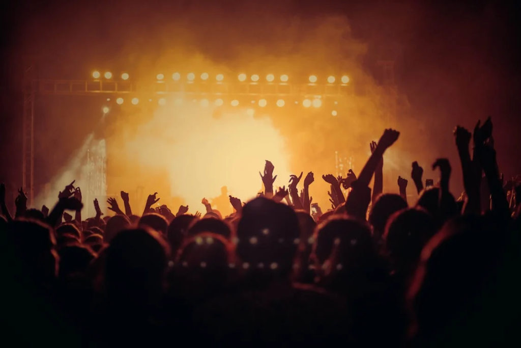 An image of a large crowd at a concert