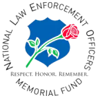 A blue and red flower design on a black background.